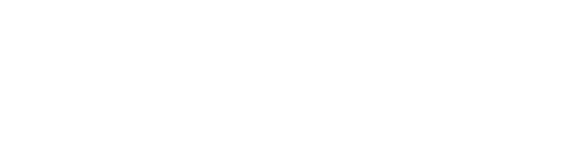 Lineup